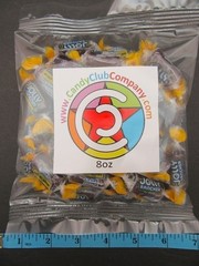 Jolly Rancher Grape ~8oz hard candy candies Half Pound sweets