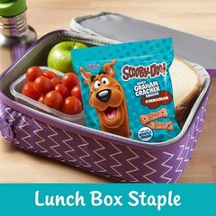 Kellogg’s Cinnamon Graham Snacks Kids Crackers Snack Packs 10 Count Box