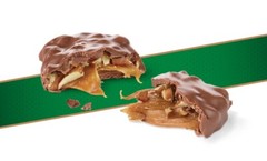 SUGAR FREE PECAN DELIGHTS CHOCOLATE RUSSELL STOVER CANDY BULK VALUE BAG-LIMITED!
