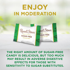 RUSSELL STOVER Sugar Free Chocolate Candy 15.7 oz (Pack of 2) – Free Shipping
