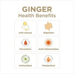 GIN GINS Original Ginger Chews Natural Fresh Candy 3oz Bag