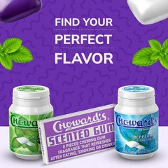 Choward’s Scented Gum | Bold Aromatic Refreshing 24 Count (Pack of 1), Purple