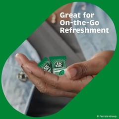 Tic Tac Freshmints Bulk Bag – 100 Mini Packs (4 Mints Each), Share-Size 6.7 Oz