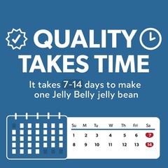 Sugar Free Candy 8.25 Ounce Bag Peanut Free Fat Free Gluten Free Treat