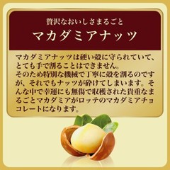 4 PACK LOTTE WHOLE MACADAMIA JAPANESE COVERED CHOCOLATE