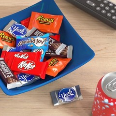 Hershey Assorted Candy Pack, 25 oz – Chocolate Delights for Friends & Family