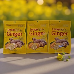 Songwha Lemon Ginger Hard Candies, 3.5 oz, All Natural & Gluten Free – Pack of 3