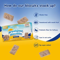ChocZero Blueberry Breakfast Biscuits, Sugar Free 9 Ounce (Pack of 1)