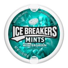 ICE BREAKERS Winter Green 1.5-oz Mints pack of 1