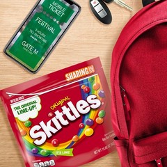 Skittles Original Chewy Candy 2 Pack Sharing Size 15.6 oz | Fruity Party Snack