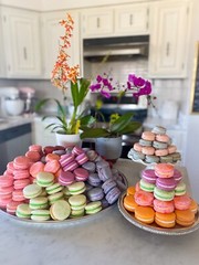 Delicious Handmade French Macarons (box of 18)- Free Shipping