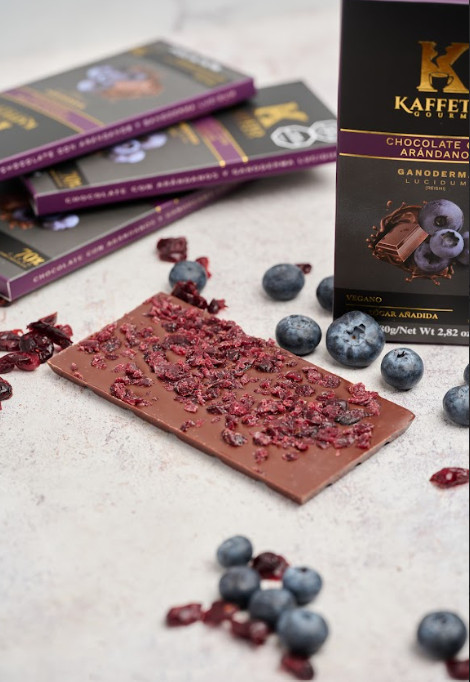 3 Pack Sugar-Free Blueberries 70% Cacao Dark Chocolate Bars with Reishi