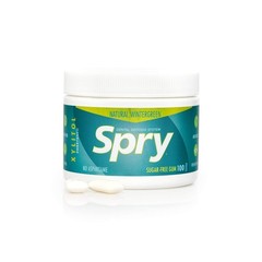 Aspartame-Free Xylitol Gum – Wintergreen Flavor for Fresh Breath, 100 Count