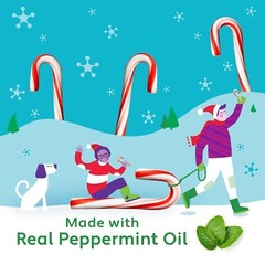 Mini Candy Canes Tub, 260 Count, Minty Sweet Treat for Holiday Cheer