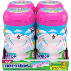 Chewing Gum Sugar-Free Bubble Fresh Flavor 50 Piece Bottle Bulk Pack of 4