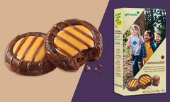 Girl Scouts Cookies, Adventurefuls, 16 cookies per box (2 Pack) EXP JUN/2027