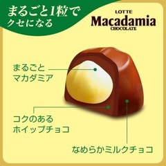 4 PACK LOTTE WHOLE MACADAMIA JAPANESE COVERED CHOCOLATE