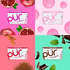 PUR Gum Aspartame Free 100% Xylitol Variety Pack 9pc 8pk Sugar Free Chewing Gum