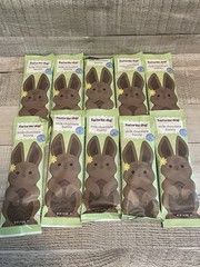 Lot of 10 – Easter Basket Stuffers Solid Milk Chocolate Bunnies 2oz. BB 10/28