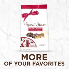 Russell Stover Pecan Delight Milk Chocolate Candy Bag 16.1 oz