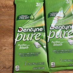 Dentyne Pure Mint Melon Sugar Free Gum 5 Packs of 3 Pack 15 PACKS TTL 10NOV2025