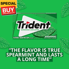 Spearmint Sugar Free Gum, 12 Packs of 14 Pieces (168 Total Pieces)