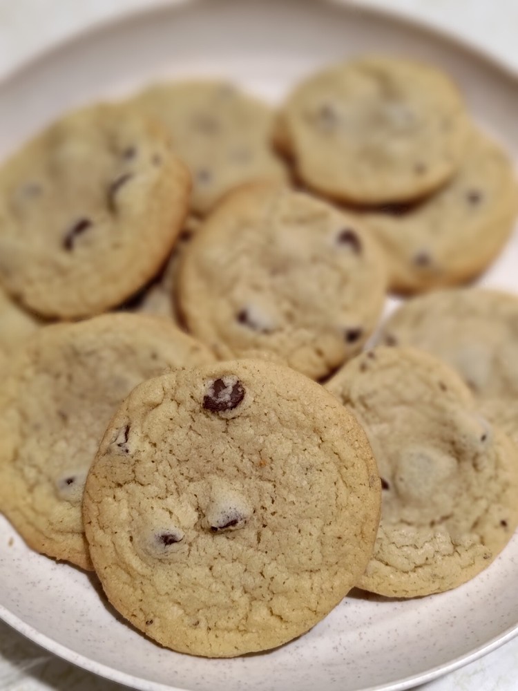 Homemade Chocolate Chip Cookies -From Scratch – Vac Sealed for Freshness