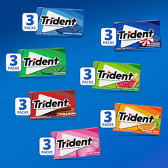 Sugar-Free Chewing Gum Variety Pack Candy, Assorted Flavors, 21 Packs of 14 Piec