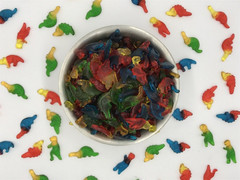 Gummi Candy, Dinosaurs Gummy Candy, 5 Ounce Share Size Bags (Pack of 12) Delicio