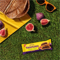Newtons Fig Bars Soft Fruit Chewy Cookies – 10 Snack Packs (2 Cookies per Pack)