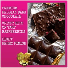 Chocolove Premium Dark Chocolate Raspberries Bars 3.1 Oz Pack Of 4