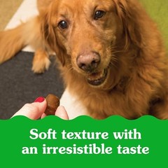 Greenies Pill Pockets for Dogs Large Size, Soft Dog Treats, with Real Peanut But
