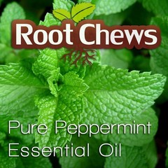 MINTS 1oz Refill 300+ pcs | Bulk Pack | Radically Simple, Ridiculously Strong…