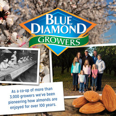 Blue Diamond Almonds, Oven Roasted Cocoa Almonds, Dark Chocolate 25 Oz. 2 Pack