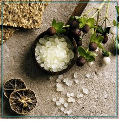 2 JARS Krinos Greek Mastic Gum: Piney Flavor, Culinary Treasure | Chios