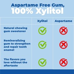 Epic Gum – Aspartame Free 100% Xylitol – Chewing Gum Sugar Free Gum –