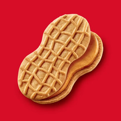 NUTTER BUTTER Peanut Butter Sandwich Cookies, Family Size, 16 oz…