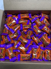 Reese’s Halloween Peanut Butter Pumpkins- 10 LBS Bulk Lot BB: 08/2026