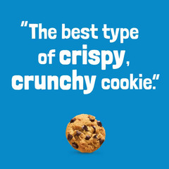 Chips Ahoy! Original Chocolate Chip Cookies – 13oz