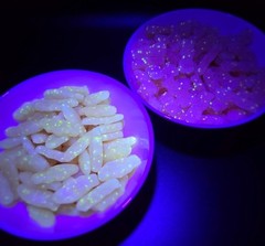 6 Bags Swedish Fish Mini Glow Ups Candy, Snack, Treat ~ 6.7oz