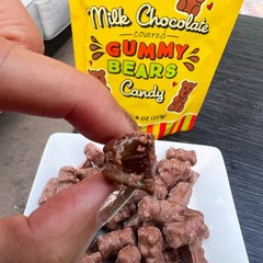 Trader Joe’s Milk Chocolate Covered Gummy Bears 8 Oz Each (1 Bag)