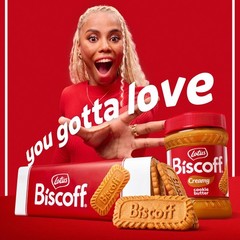 Lotus , Caramelized Biscuit Cookies, non GMO + Vegan – 8.8 Ounce (Pack of 10)
