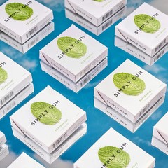 SIMPLY Gum Peppermint, Plastic-Free Natural Chewing Gum, 6 Pack (90 Pieces).