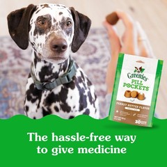 Greenies Pill Pockets for Dogs Large Size, Soft Dog Treats, with Real Peanut But