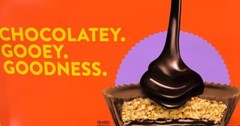 REESE’S-LAVA CHOCOLATE SNACK SIZE PEANUT BUTTER CUPS IN MILK CHOCOLATE, BULK BAG
