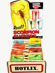 REAL SCORPION SCARY SUCKERS/GREAT FUN AT PARTIES +A SUPRISE GIFT.
