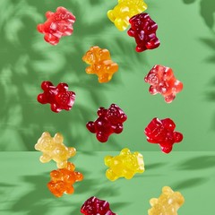 USDA Organic Gummy Bears 65 Pouches .0.8Oz Each