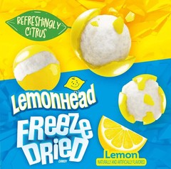 Lemonhead Freeze-Dried Candy – Lemon Flavored, 4 oz Reclosable Bag-free shipping