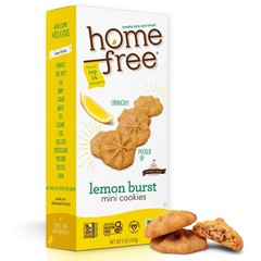Mini Lemon Burst Cookies, Gluten Free, Nut Free, Vegan, School Safe and Aller…