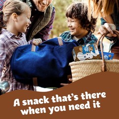 Pillsbury Mini Soft Baked Cookies, Chocolate Chip, Snack 10 count (Pack of 1)